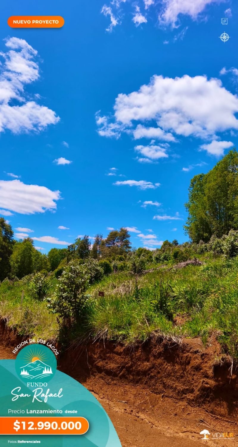 Fundo San Rafael, Décima Región