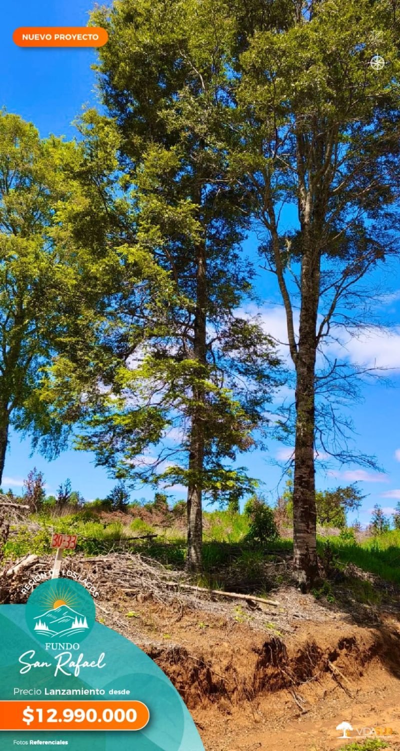 Fundo San Rafael, Décima Región
