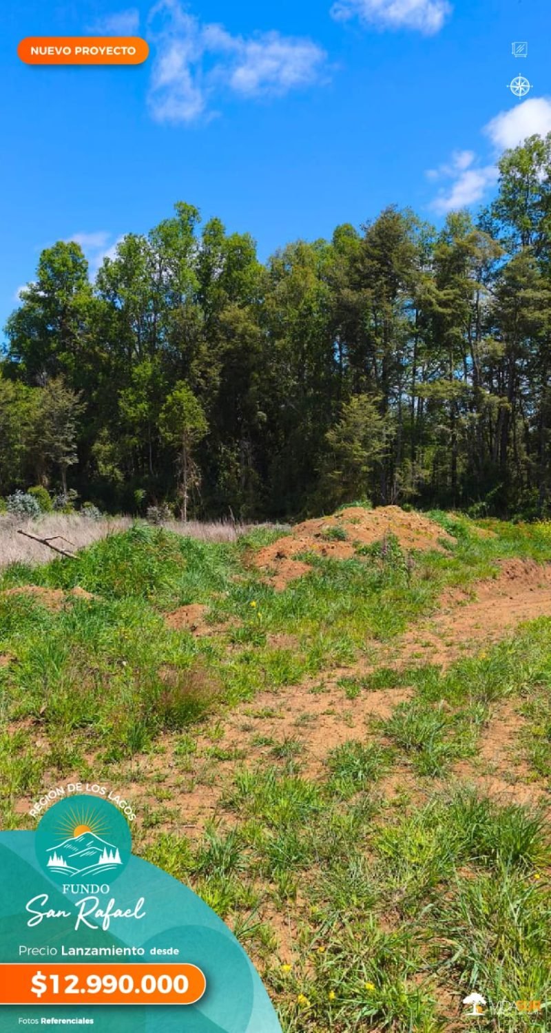 Fundo San Rafael, Décima Región
