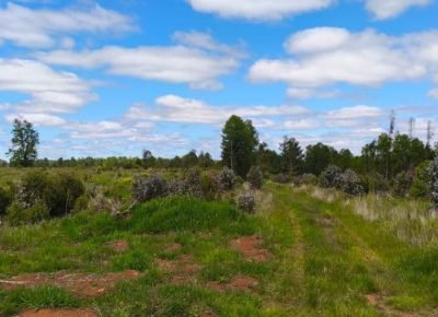 WhatsApp Image 2026-02-13 at 11.31.30 AM