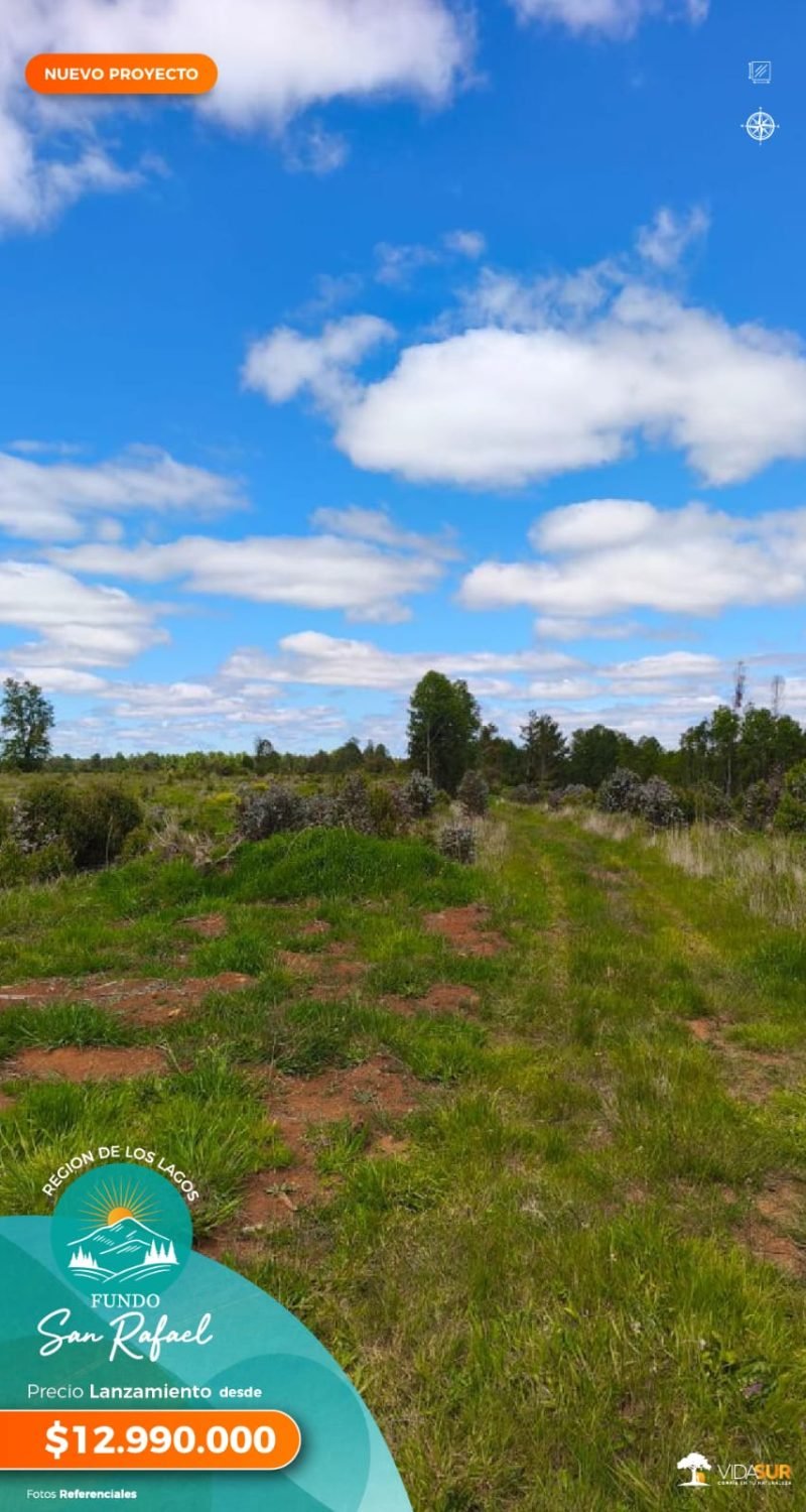 Fundo San Rafael, Décima Región