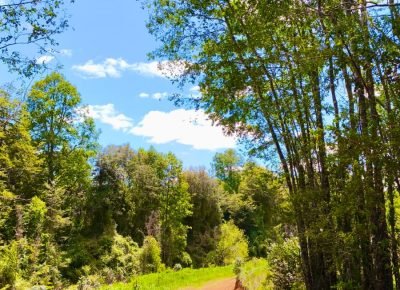 WhatsApp Image 2026-02-13 at 11.31.31 AM