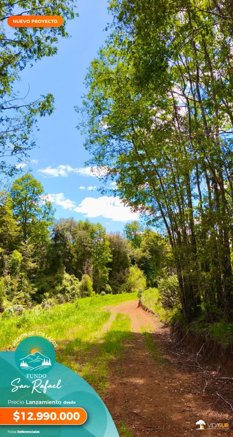 Fundo San Rafael, Décima Región