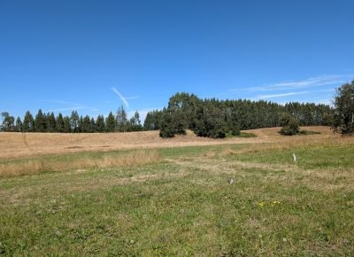 WhatsApp Image 2026-02-13 at 3.44.19 PM (1)