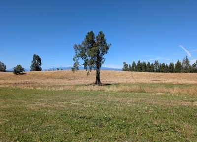 WhatsApp Image 2026-02-13 at 3.44.19 PM (2)