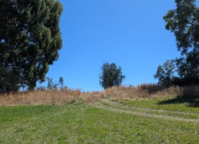 WhatsApp Image 2026-02-13 at 3.44.19 PM (3)