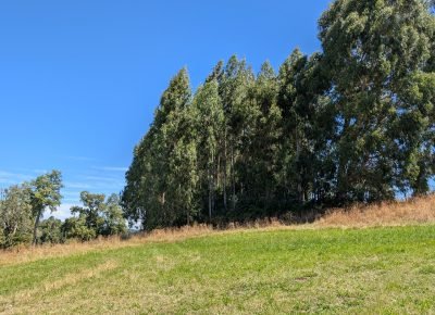 WhatsApp Image 2026-02-13 at 3.44.19 PM