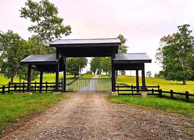 WhatsApp Image 2026-02-13 at 3.46.51 PM (1)