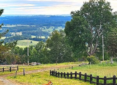 WhatsApp Image 2026-02-13 at 3.46.51 PM (2)