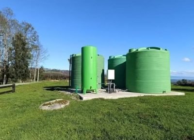 WhatsApp Image 2026-02-13 at 3.46.51 PM (5)