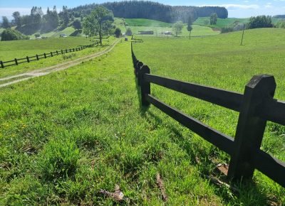 WhatsApp Image 2026-02-13 at 3.46.51 PM