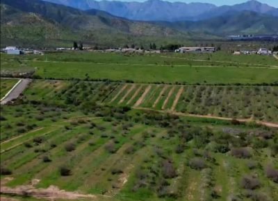 Fundo San Francisco, La Ligua V Región