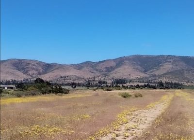 Fundo San Francisco, La Ligua V Región