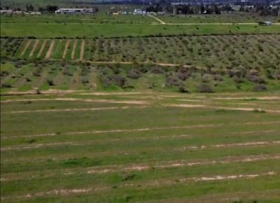 Fundo San Francisco, La Ligua V Región