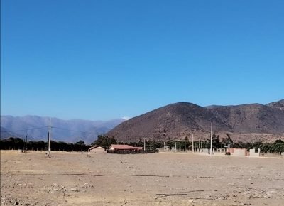 WhatsApp Image 2026-02-13 at 4.05.44 PM (1)