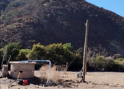 WhatsApp Image 2026-02-13 at 4.05.44 PM