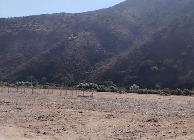 WhatsApp Image 2026-02-13 at 4.05.45 PM (1)