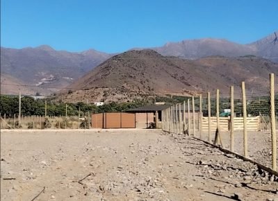 WhatsApp Image 2026-02-13 at 4.05.45 PM (2)