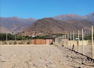 WhatsApp Image 2026-02-13 at 4.05.45 PM