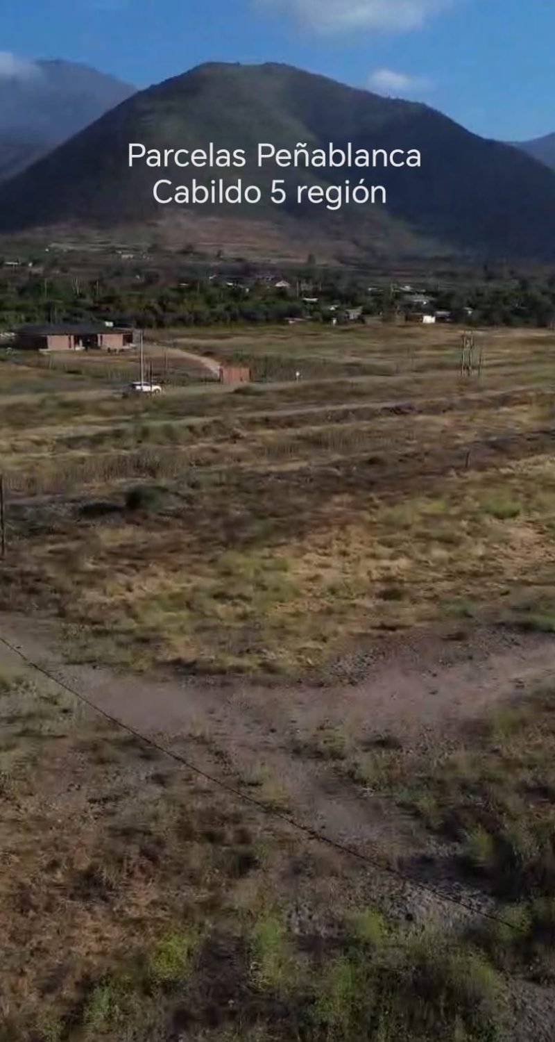 WhatsApp Image 2026-02-13 at 4.56.29 PM (1)