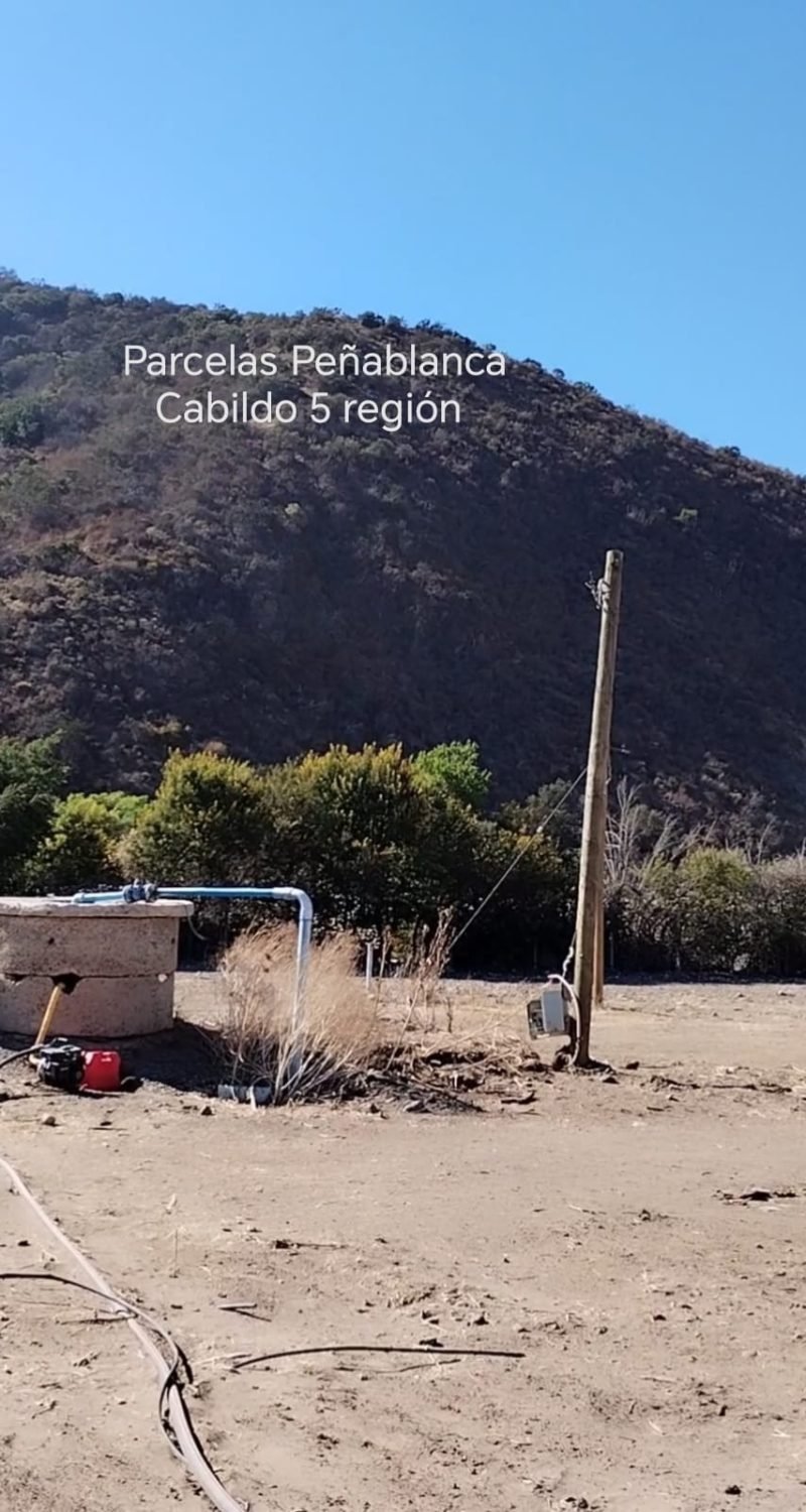 WhatsApp Image 2026-02-13 at 4.56.29 PM (2)