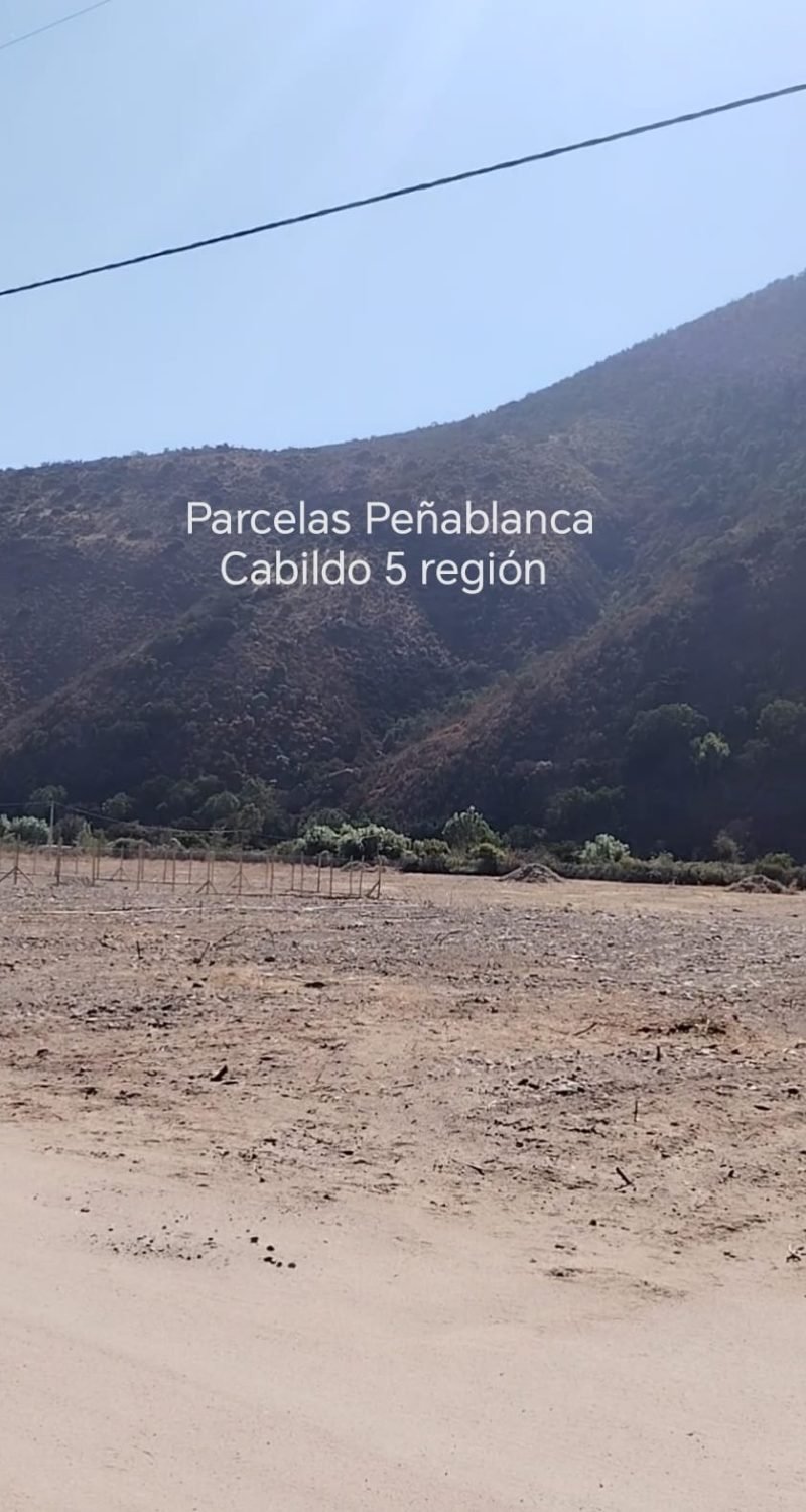 WhatsApp Image 2026-02-13 at 4.56.29 PM (3)