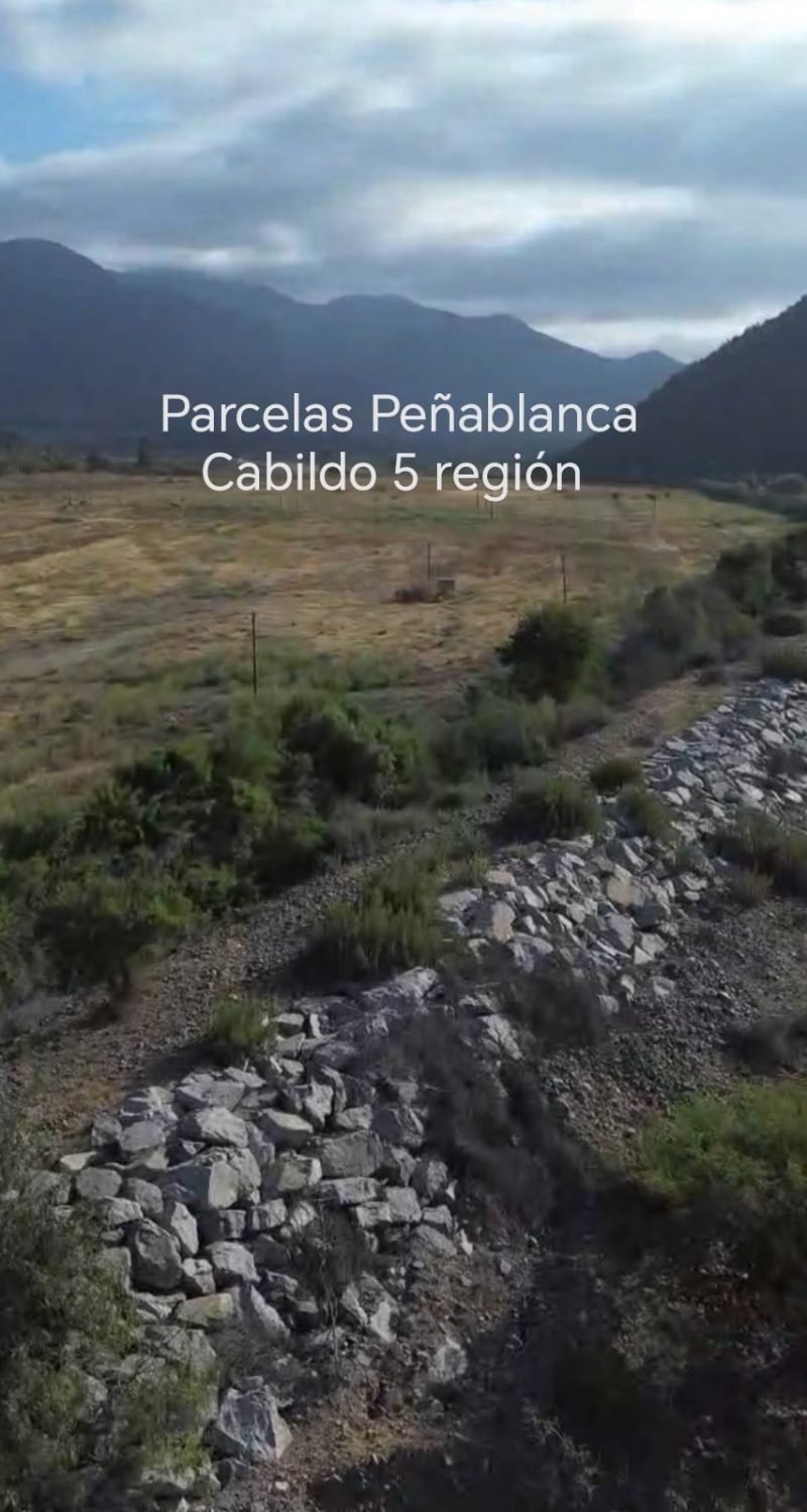 WhatsApp Image 2026-02-13 at 4.56.29 PM