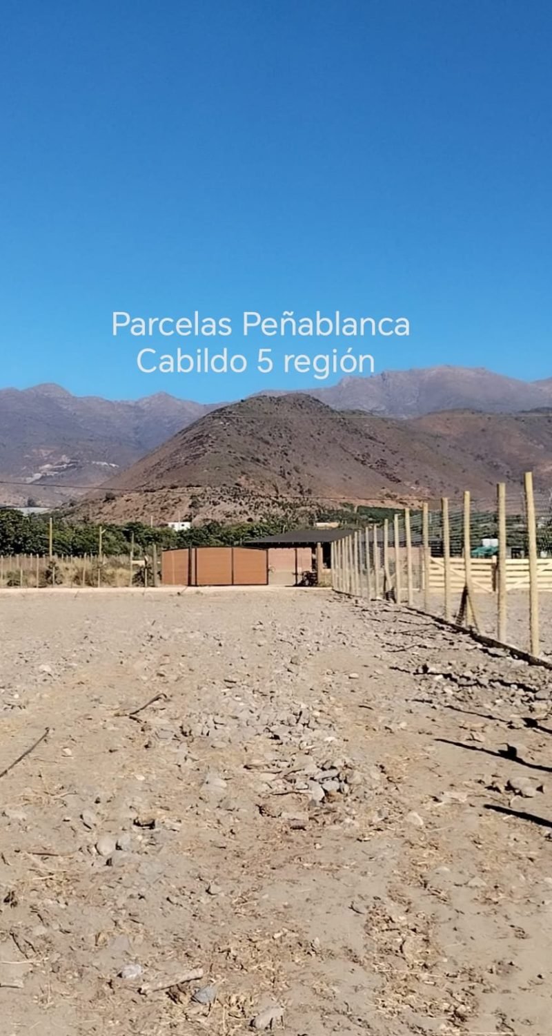 WhatsApp Image 2026-02-13 at 4.56.30 PM (1)