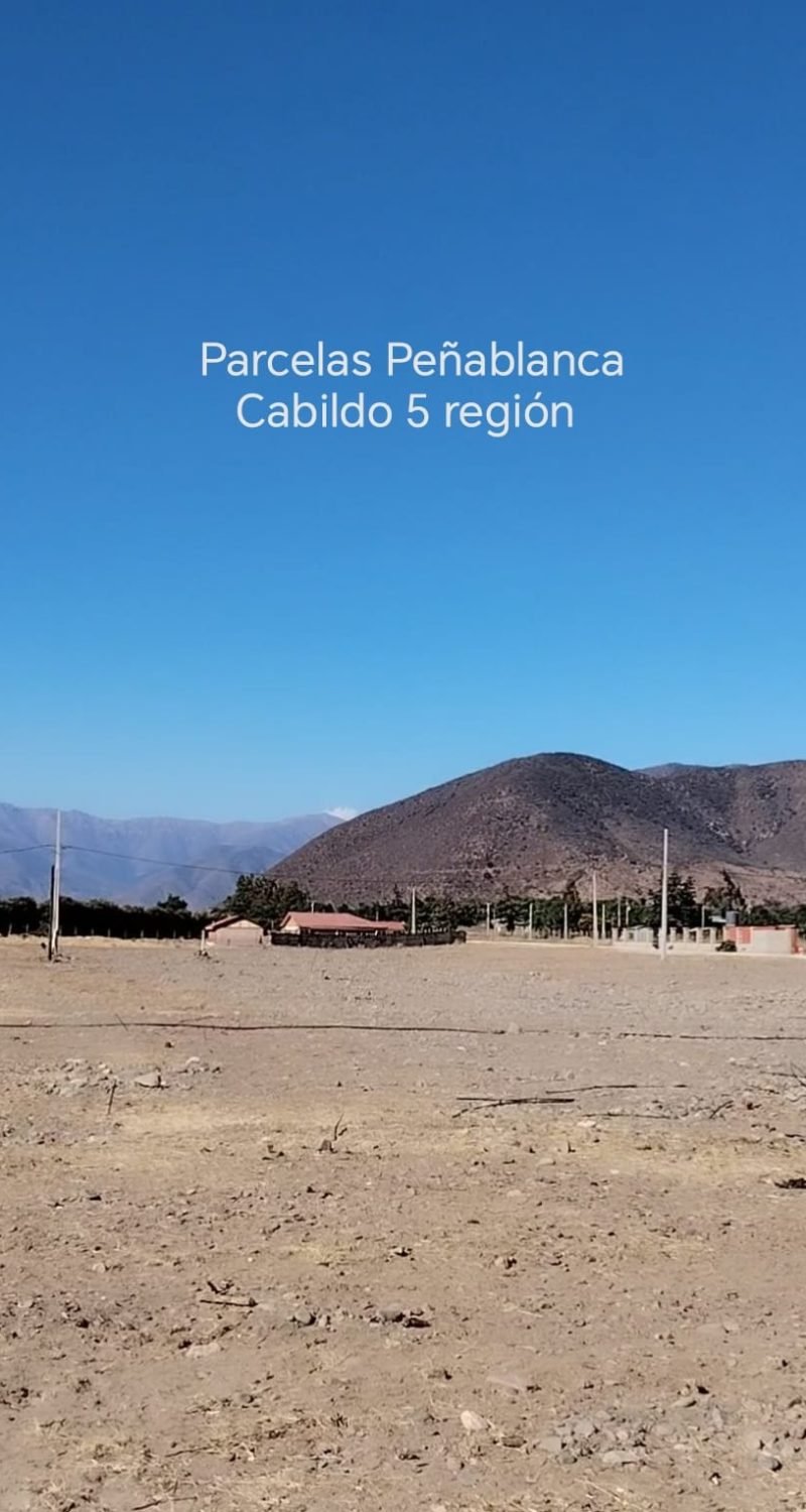 WhatsApp Image 2026-02-13 at 4.56.30 PM